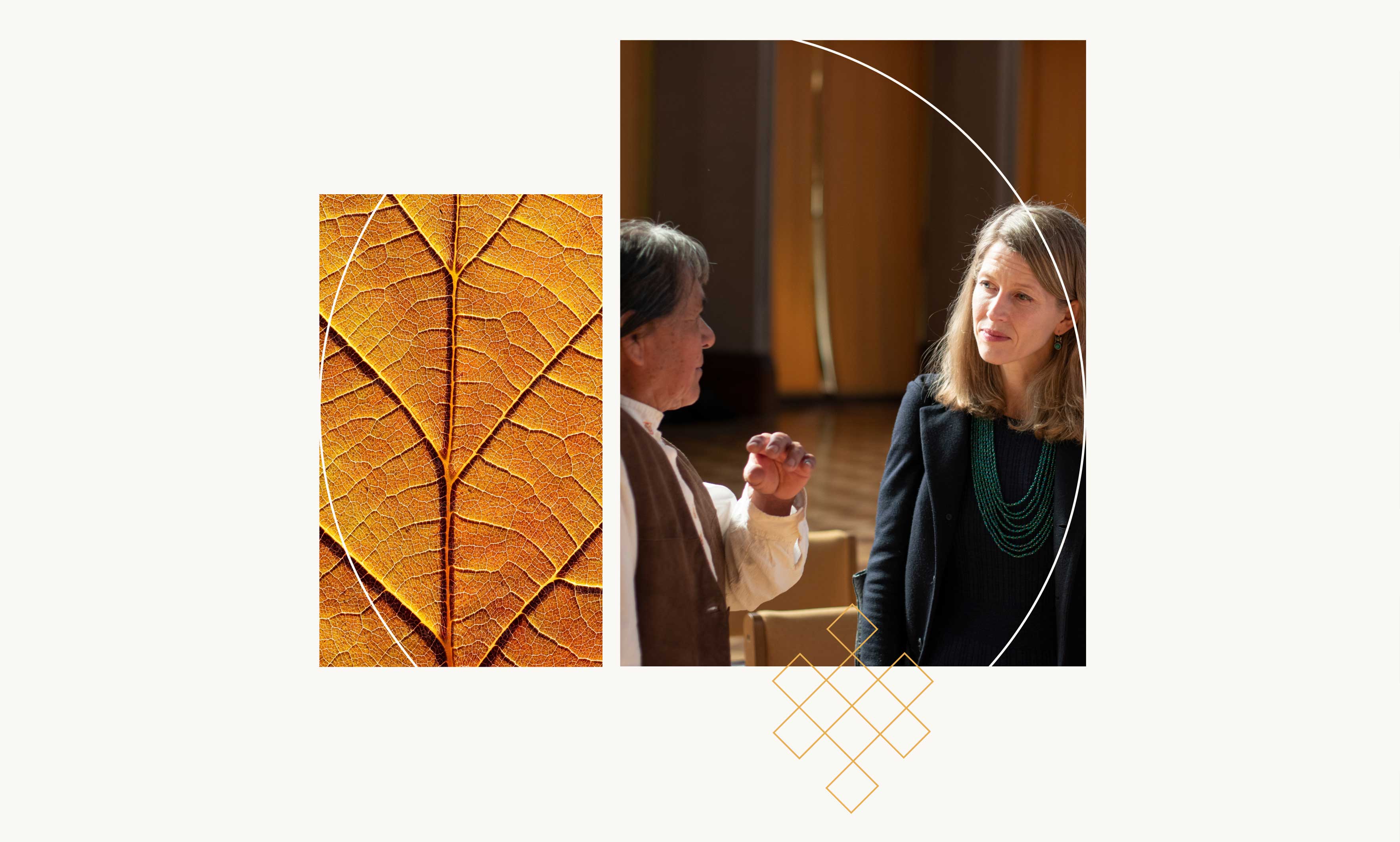 Garrison Institute graphic elements with branded images