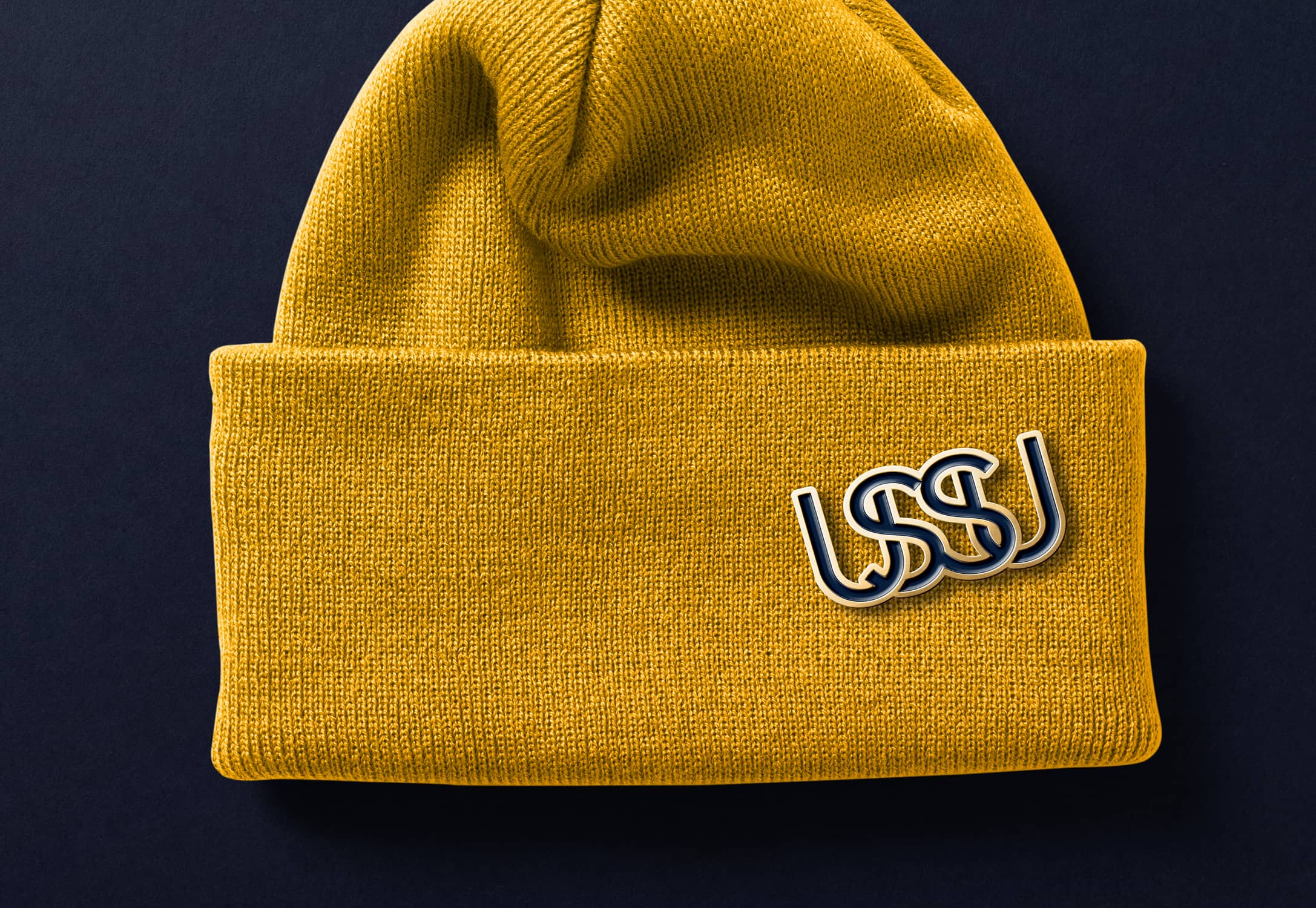 USSU hat pin mockup