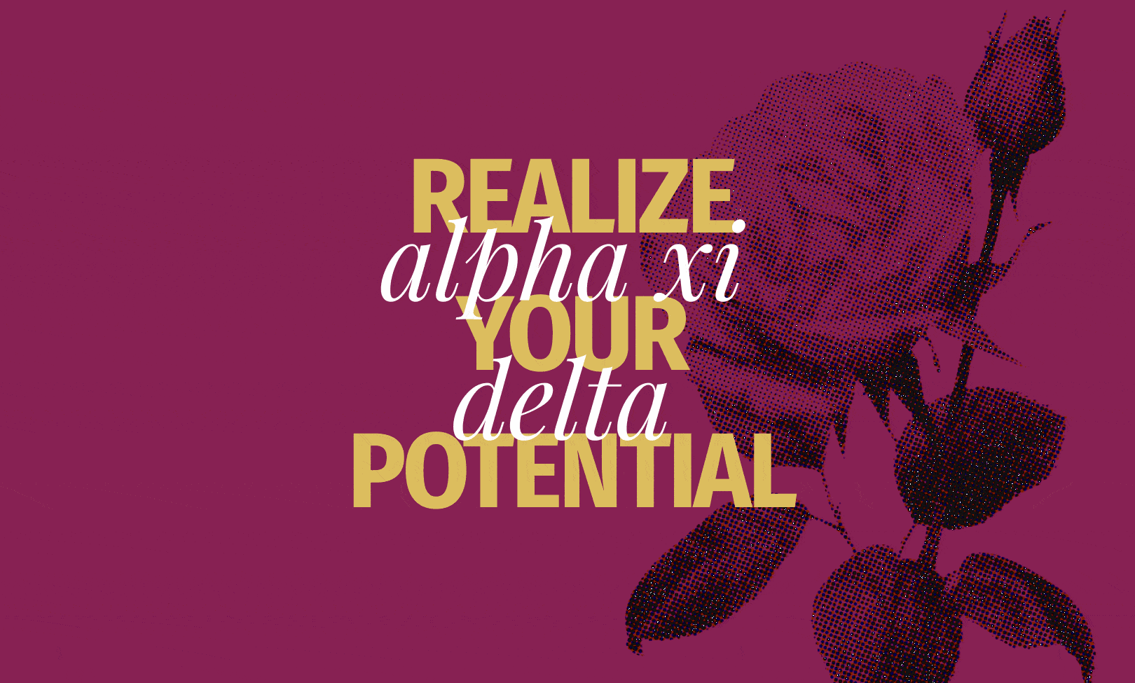 Alpha Xi Delta Designed Tagline GIF by Push10 branding agency