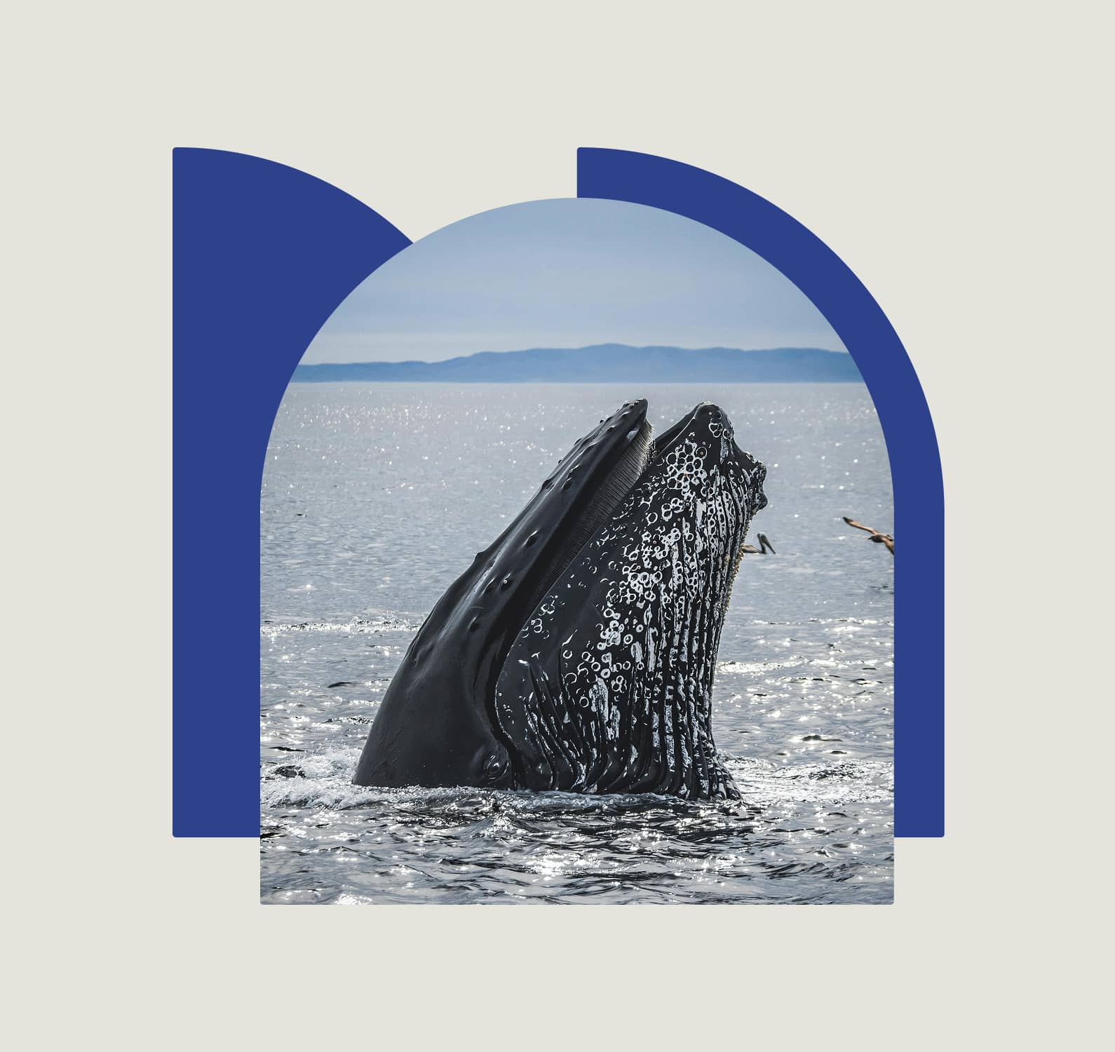 Graphical element; arch framed layout and use with one image