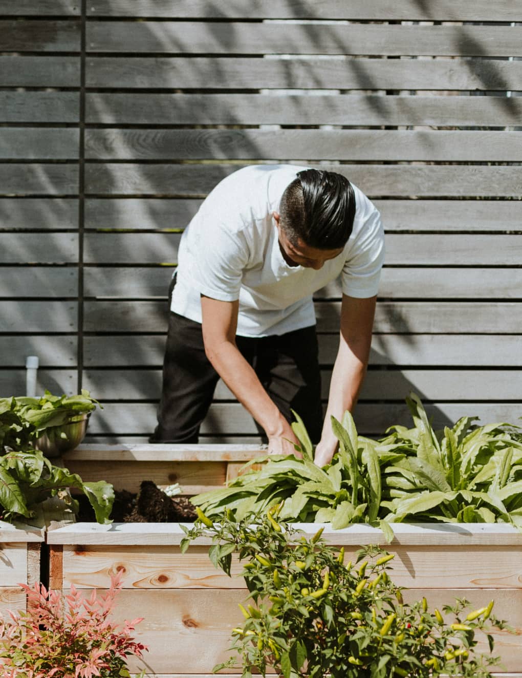 Man outside tending to a garden.