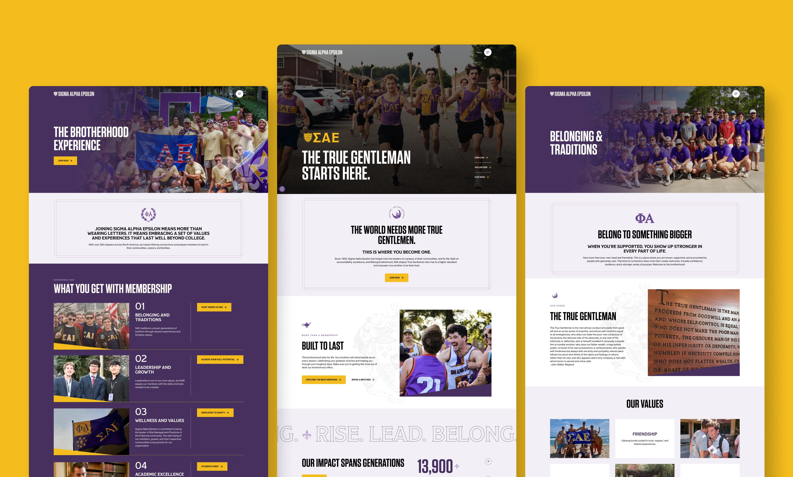 Three web page layouts showcasing fraternity themes. They feature group photos, text on brotherhood and belonging, and colorful purple and gold accents.