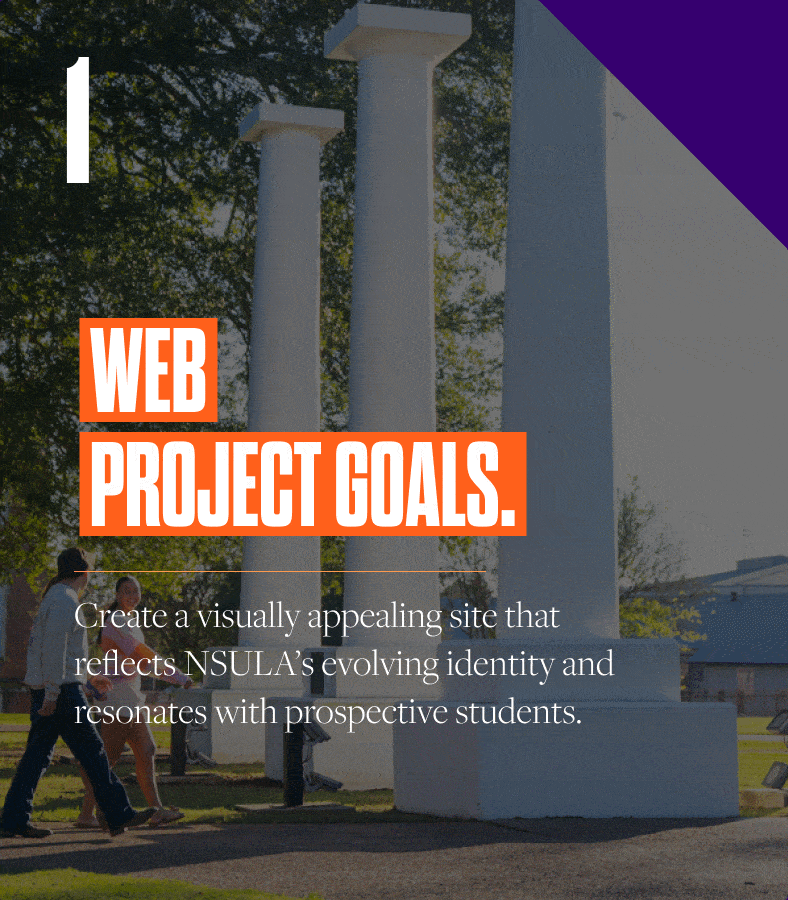 NSULA-higher-education-web-design-research-web-project-goals-edited@2x