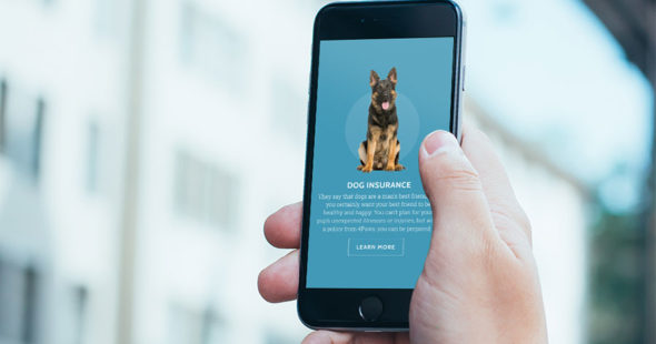Dog Insurance Website on Mobile Device