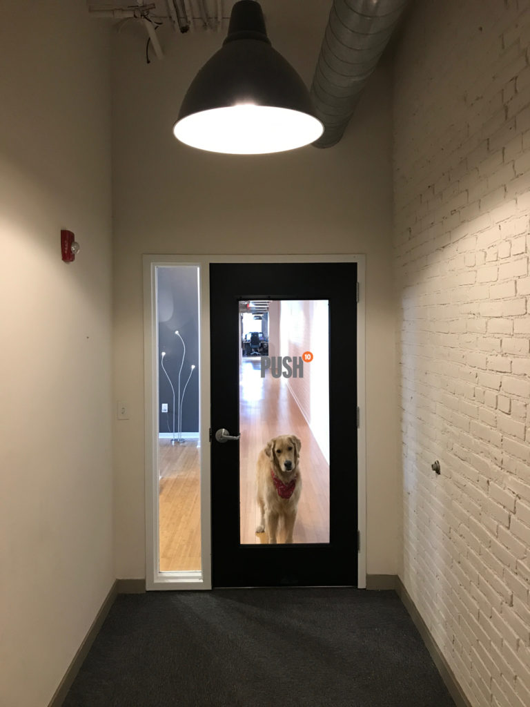 Push10 New Office Door