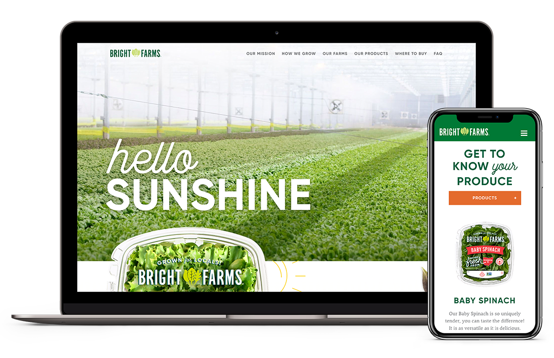 Web Design for Organic Food & Beverage Company