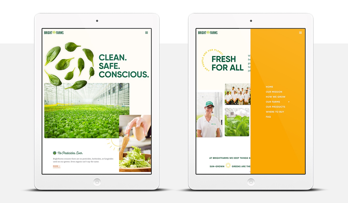 Responsive Web Design for CPG Brands