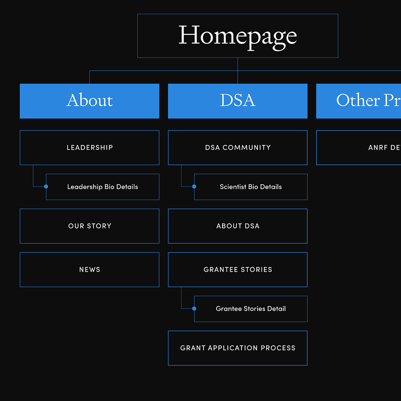 Website architecture for The Sontag Foundation web design